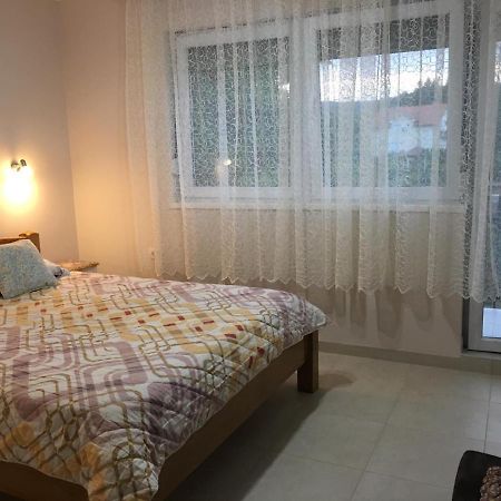 Apartment Vistanova Vrdnik Eksteriør bilde