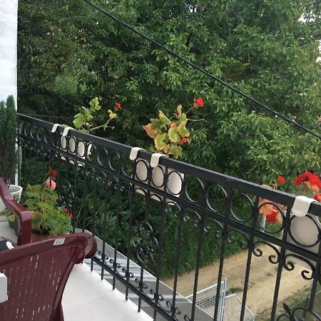 Apartment Vistanova Vrdnik Eksteriør bilde