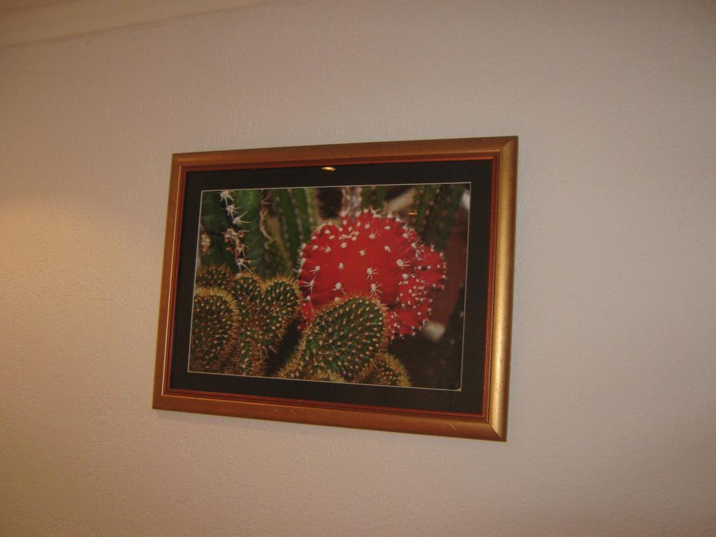 Apartment Vistanova Vrdnik Rom bilde
